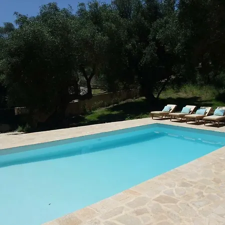 Villa Forest *